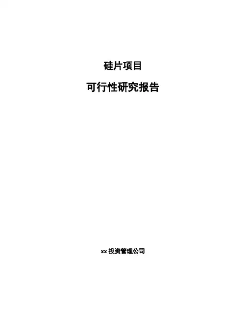 硅片项目可行性研究报告
