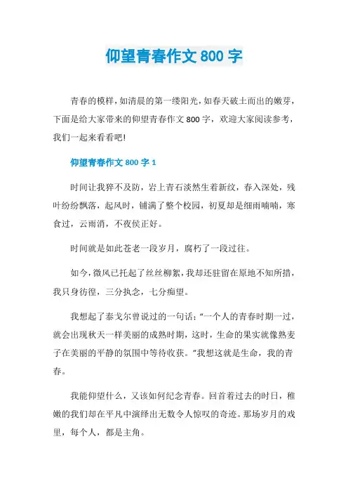 仰望青春作文800字