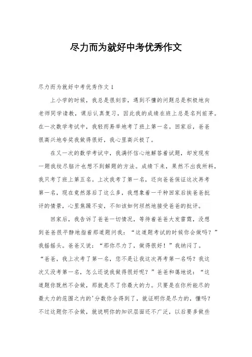 尽力而为就好中考优秀作文