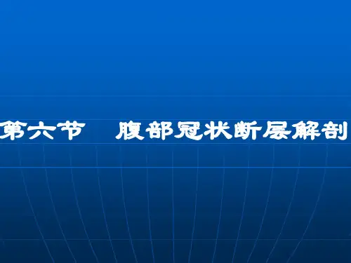 腹部断层解剖第四节腹部冠状断层解剖ppt课件