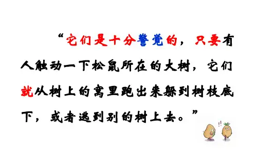 松鼠微课案例