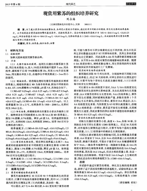 观赏用紫苏的组织培养研究