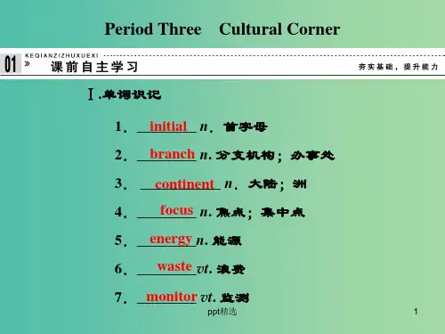 高中英语 6.3 Cultural Corner课件 外研版必修5