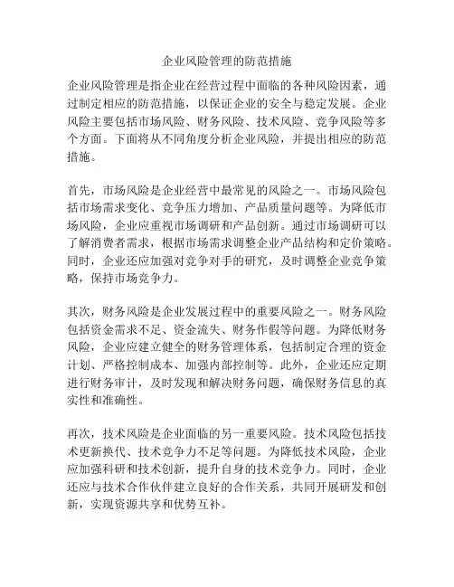企业风险管理的防范措施