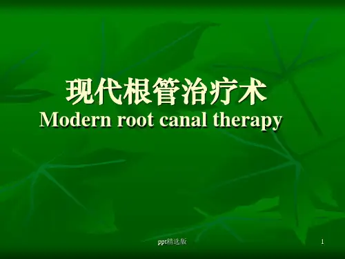 现代根管治疗术ppt课件