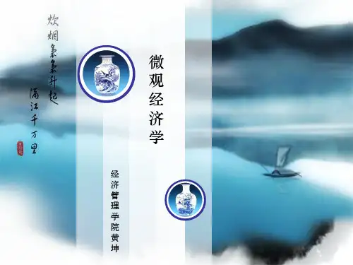 微观经济学PPT课件