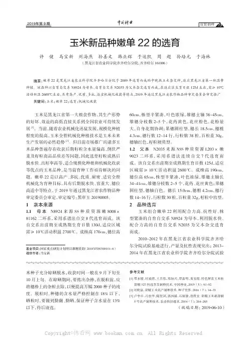 玉米新品种嫩单22 的选育