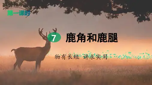 部编版三年级语文下册  7 鹿角和鹿腿(共2课时) (含练习)完整版
