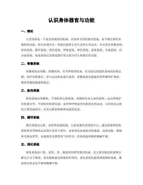 认识身体器官与功能