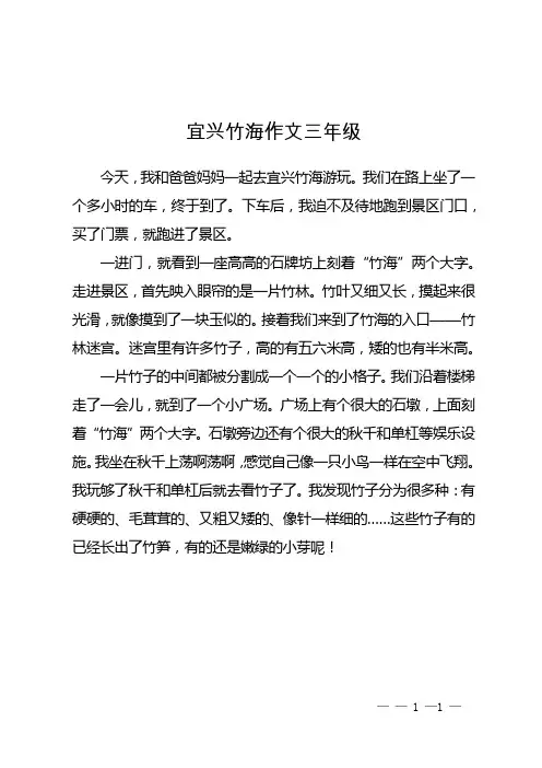 宜兴竹海作文三年级
