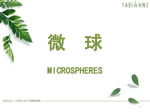 微球PPT参考幻灯片