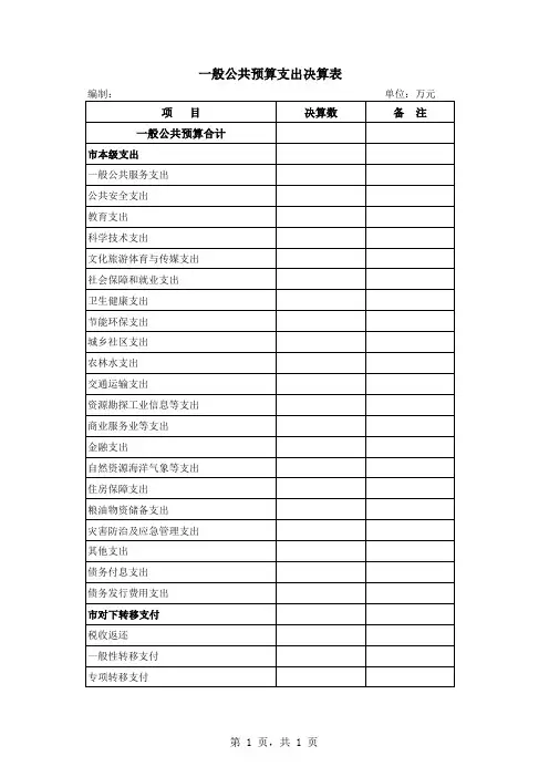 一般公共预算支出决算表模板