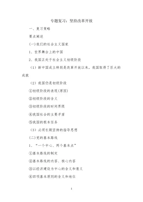 专题复习：坚持改革开放