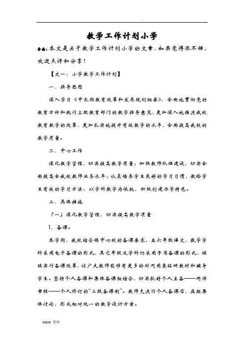 教学工作计划小学