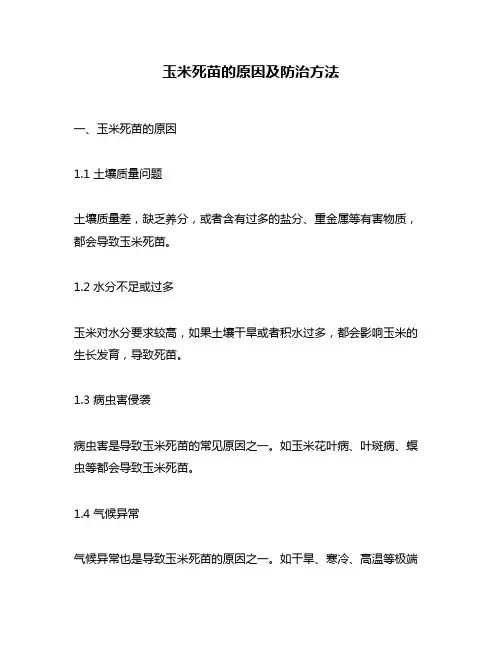 玉米死苗的原因及防治方法