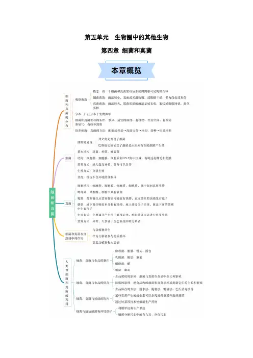第四章细菌和真菌(人教版)