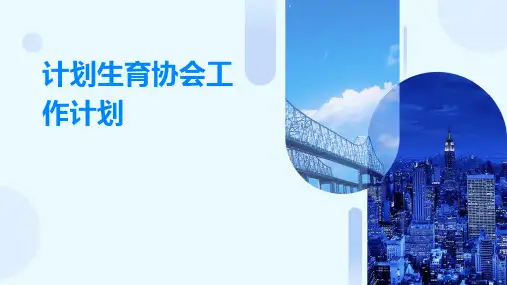 计划生育协会工作计划PPT