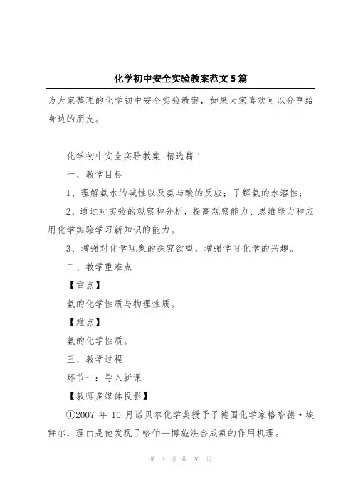 化学初中安全实验教案范文5篇