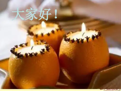 指南科学领域解读幻灯片