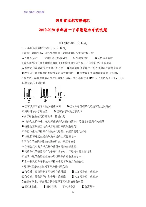 2019-2020学年四川省成都市新都区高一下学期期末考试生物试题
