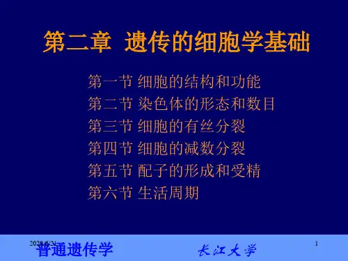 第一节 细胞的结构与功能 第二节 染色体的形态与数目