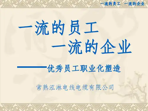 优秀员工职业化塑造