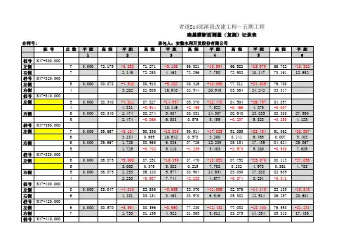 原地面复测记录表(规范格式)