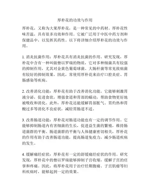 厚朴花的功效与作用