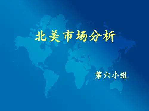 北美市场分析