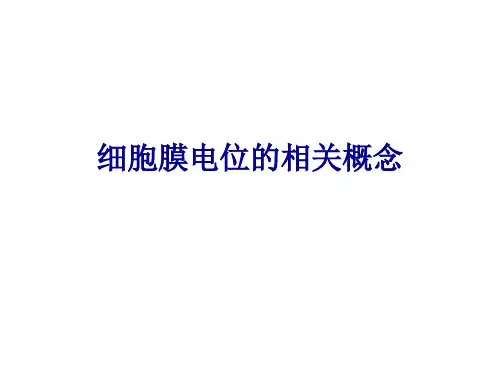 细胞膜电位的概念与应用