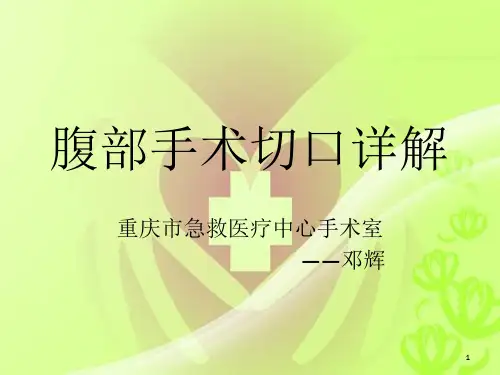 腹壁切口详解(课堂PPT)