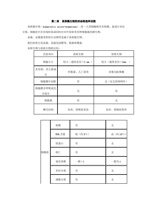 第二章  真核微生物的形态构造和功能知识点