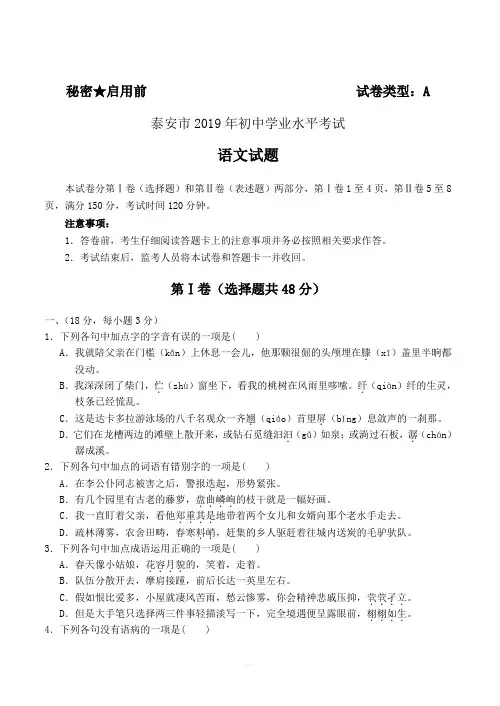 山东省泰安市2019年中考语文试题(含答案)