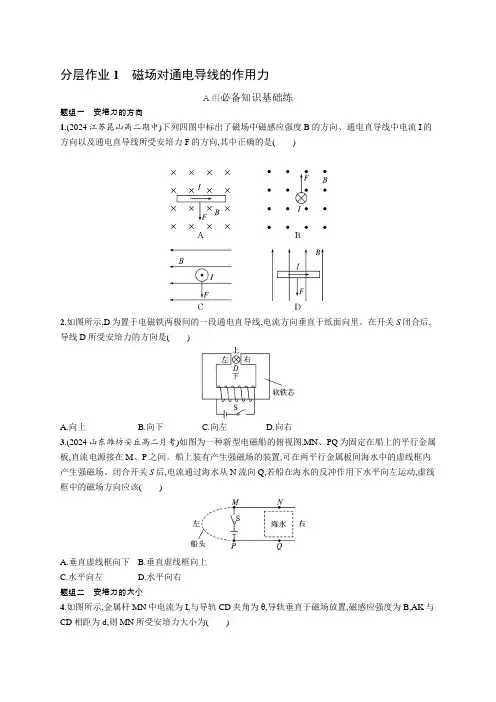 2024-2025学年高二物理选择性必修第二册(配人教版)分层作业1磁场对通电导线的作用力