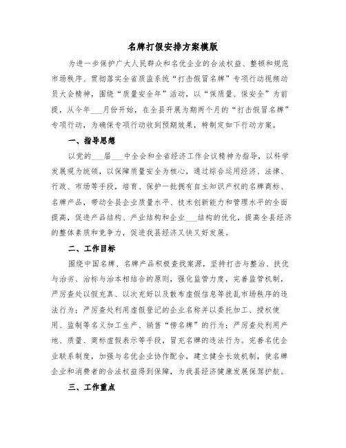 名牌打假安排方案模版(3篇)
