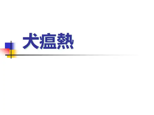 兽医课件-犬瘟热