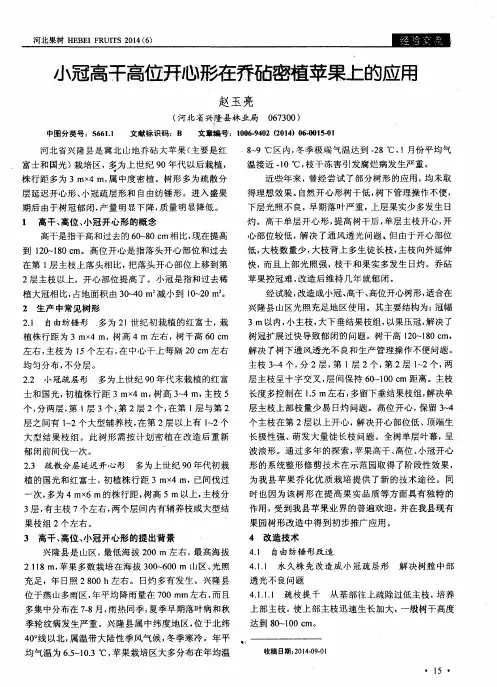 小冠高干高位开心形在乔砧密植苹果上的应用