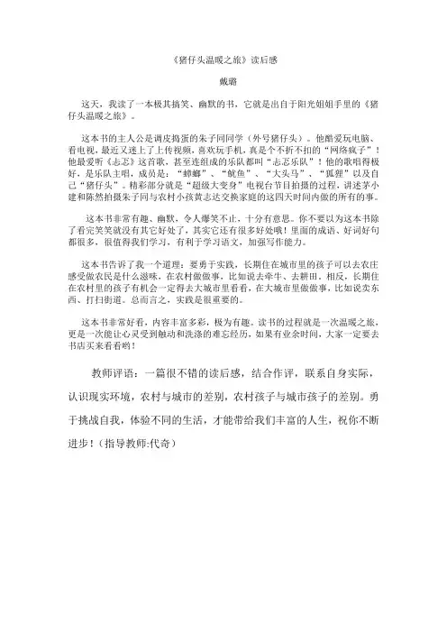 猪仔头温暖之旅