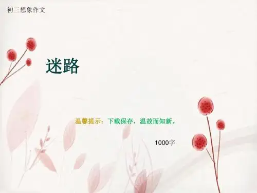 初三想象作文《迷路》1000字(总13页PPT)