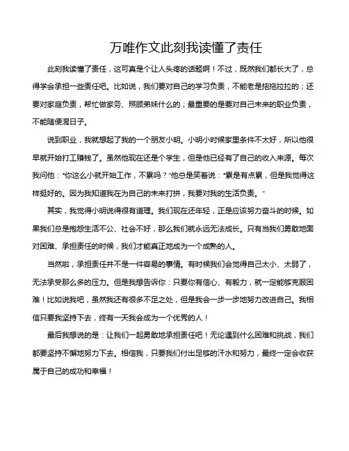 万唯作文此刻我读懂了责任