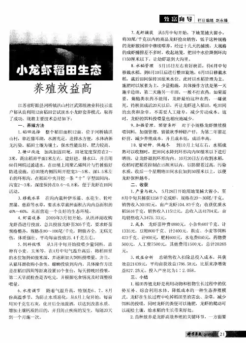 小龙虾稻田生态养殖效益高