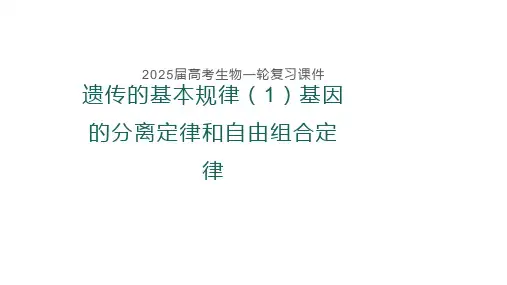 高三生物一轮复习课件遗传的基本规律：基因的分离定律和自由组合定律