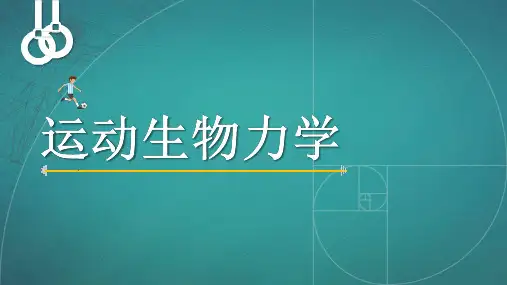19预备姿势肌肉的生物力学特性(1)