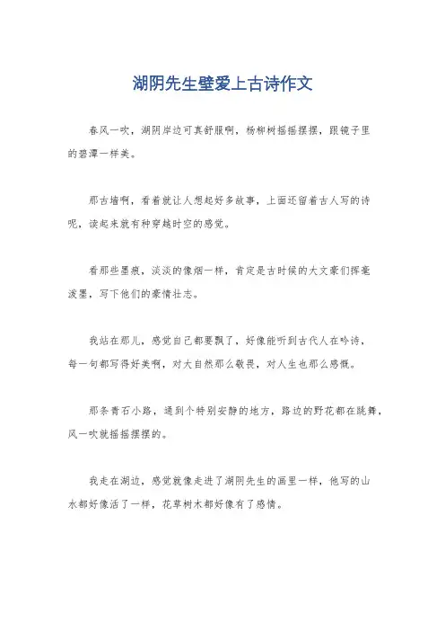 湖阴先生壁爱上古诗作文