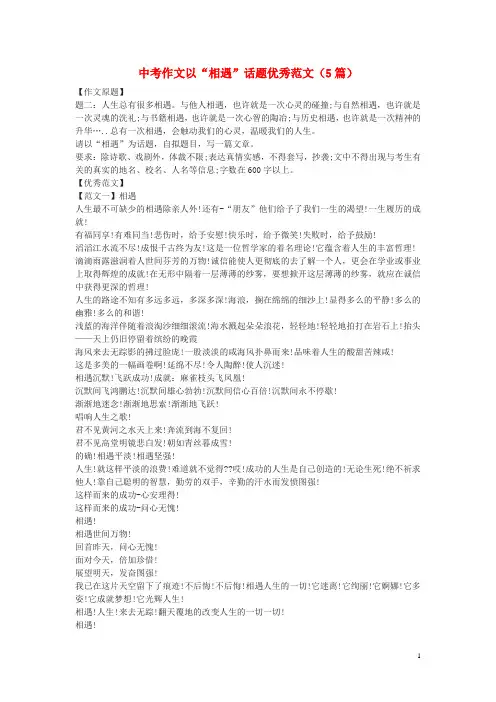 黑龙江省齐齐哈尔市中考语文 作文以“相遇”话题优秀范文(5篇)