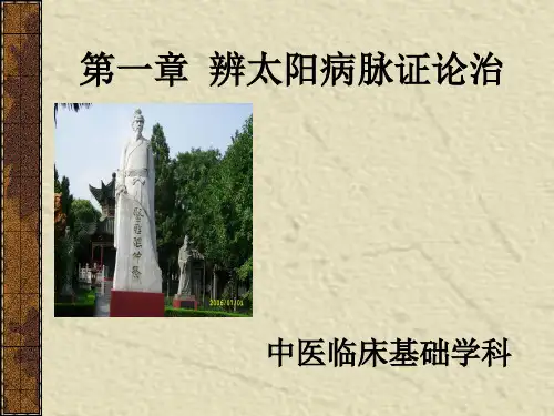 伤寒论讲稿PPT课件