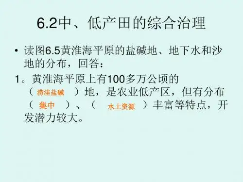 高三地理6.2中低产田的综合治理 (优秀版)