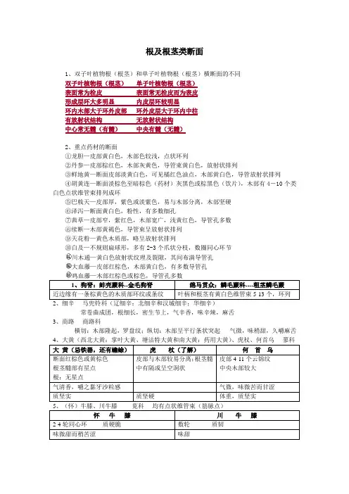 根及根茎类断面