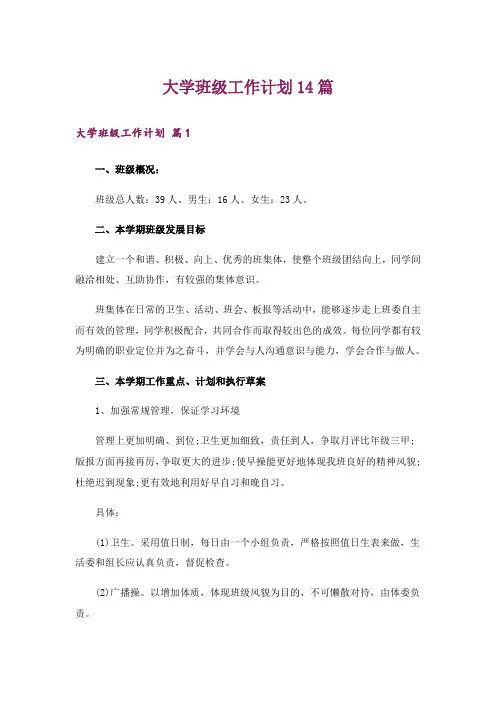 大学班级工作计划14篇
