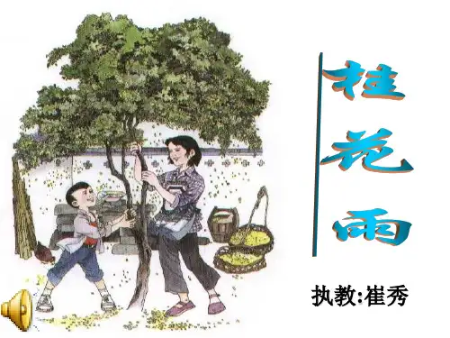7、桂花雨2ppt